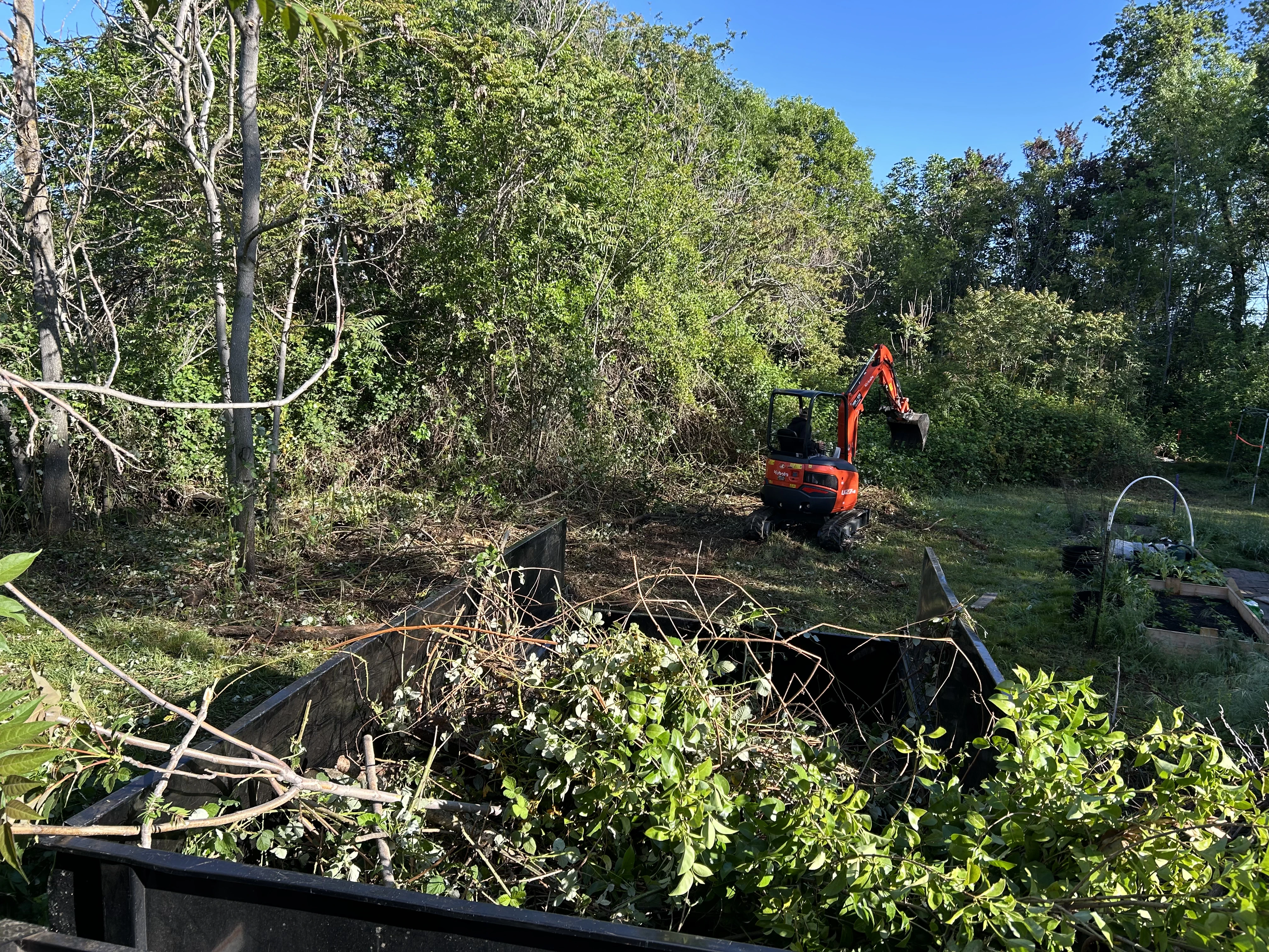 Redding Tree Service Operation