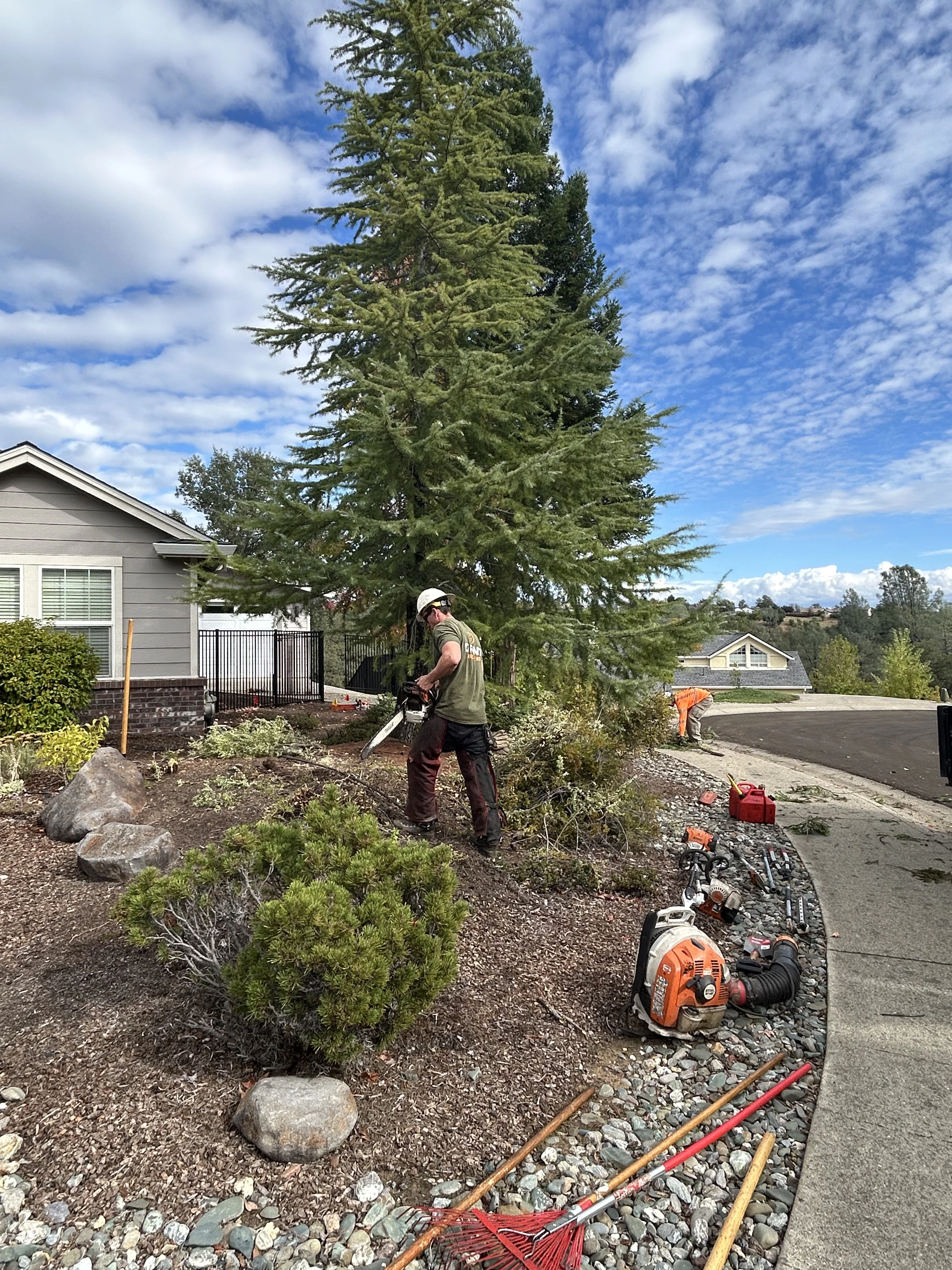Heavy Machinery Track Loader