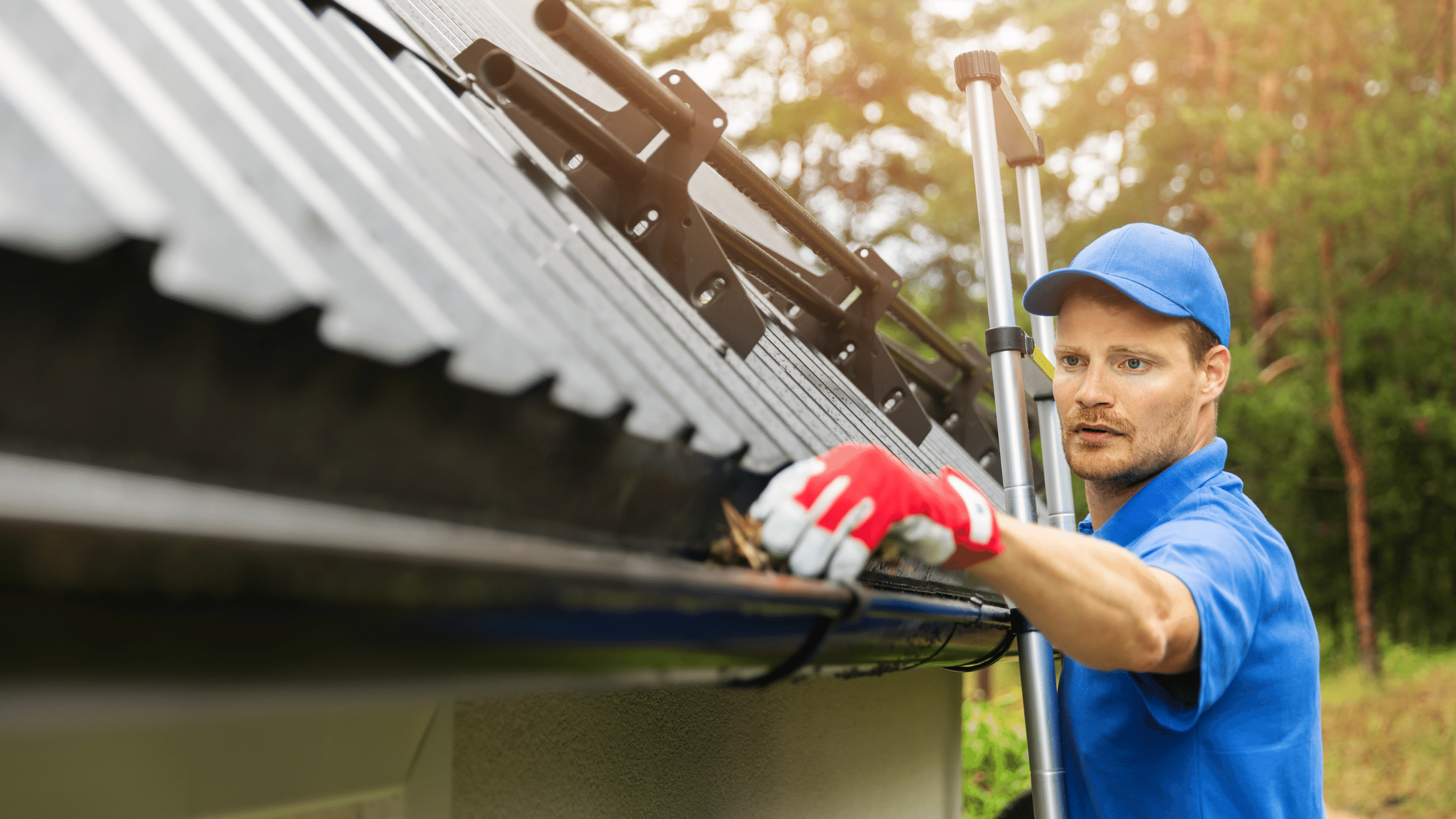 gutter cleaning