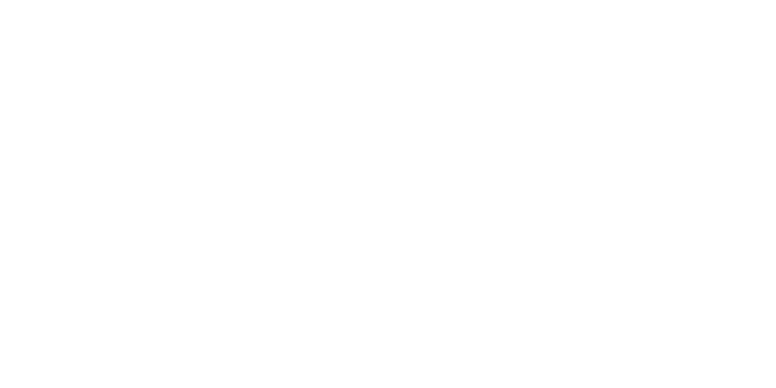 Digital web solution logo white