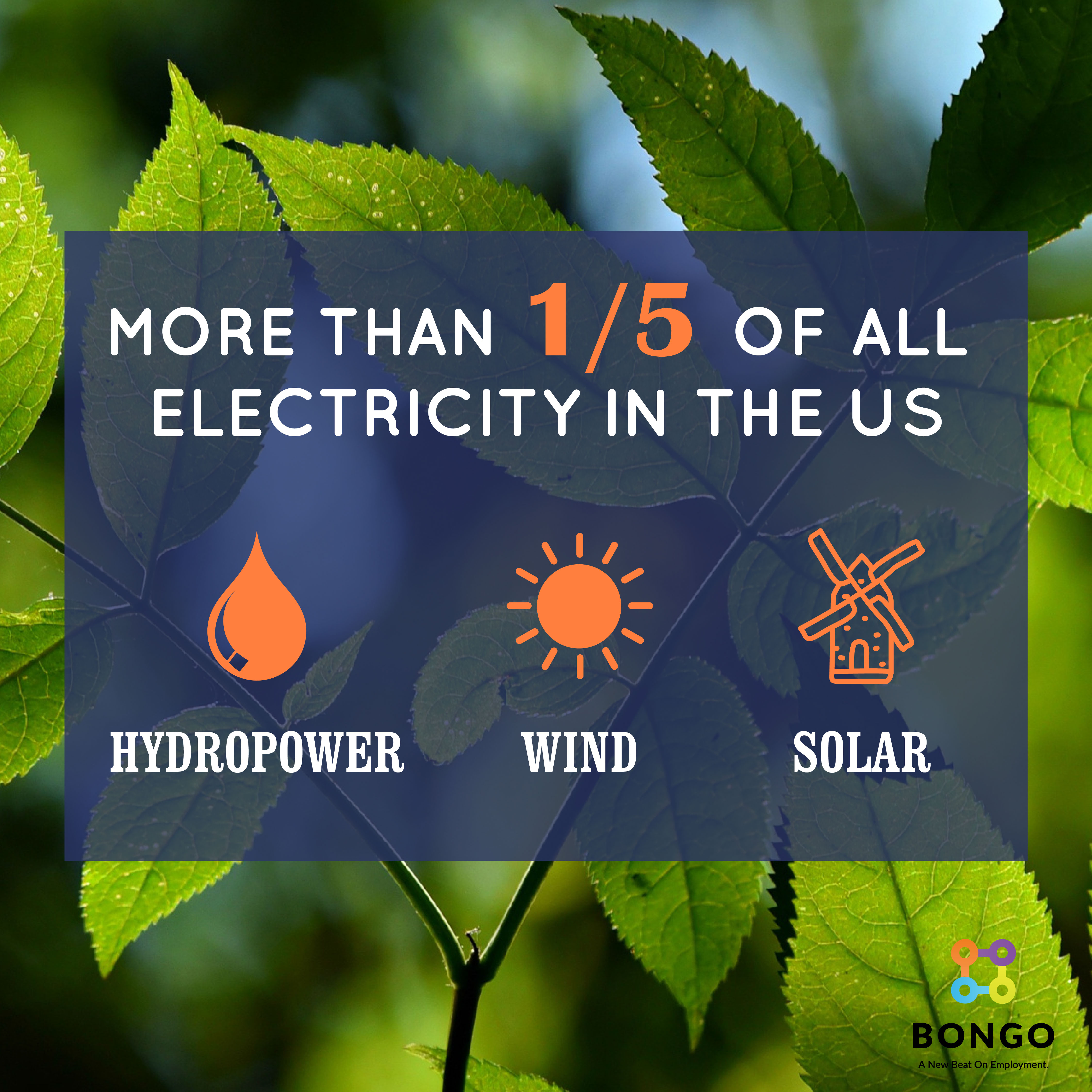 More than ⅕ of all electricity in the US is now coming from hydropower, wind, and solar.