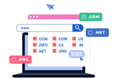 Domain Hosting - Techno Viz