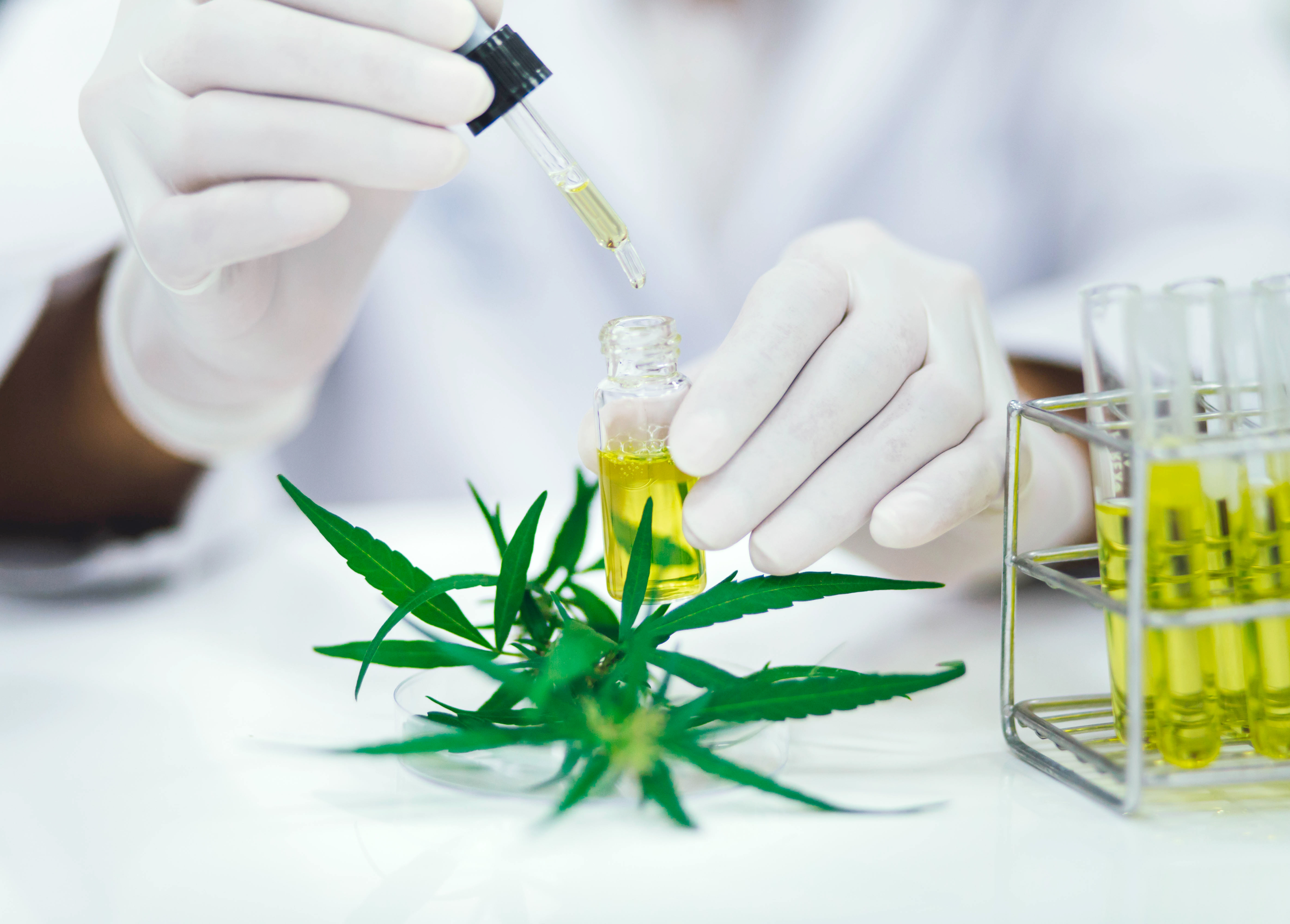 CBD in the News CBD in the News