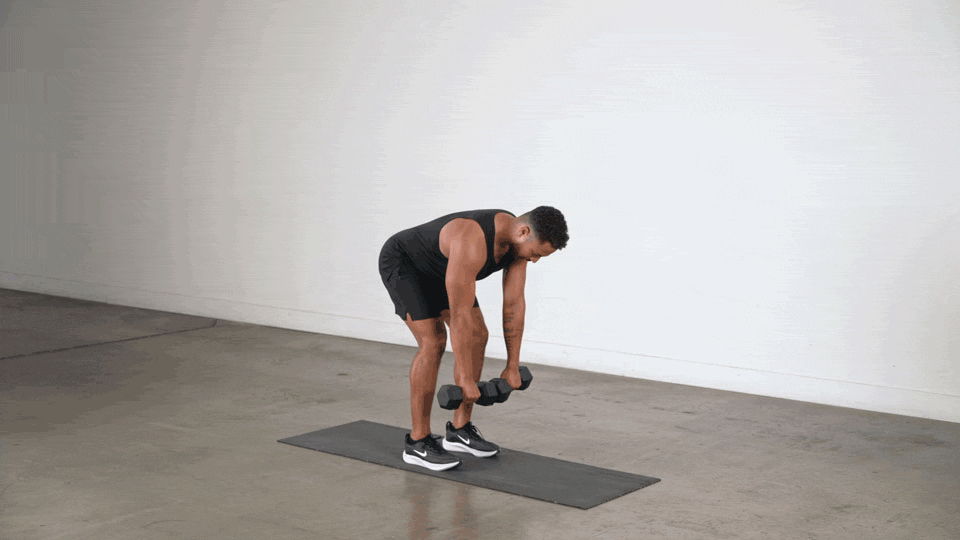 double arm bent over dumbbell row
