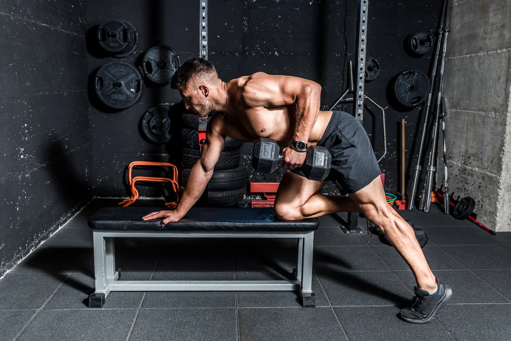 best dumbbell back workouts