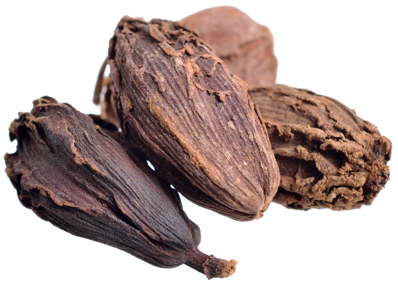 black cardamom