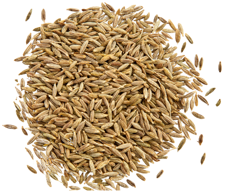 cumin cumin