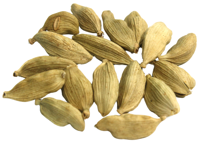 green cardamom green cardamom