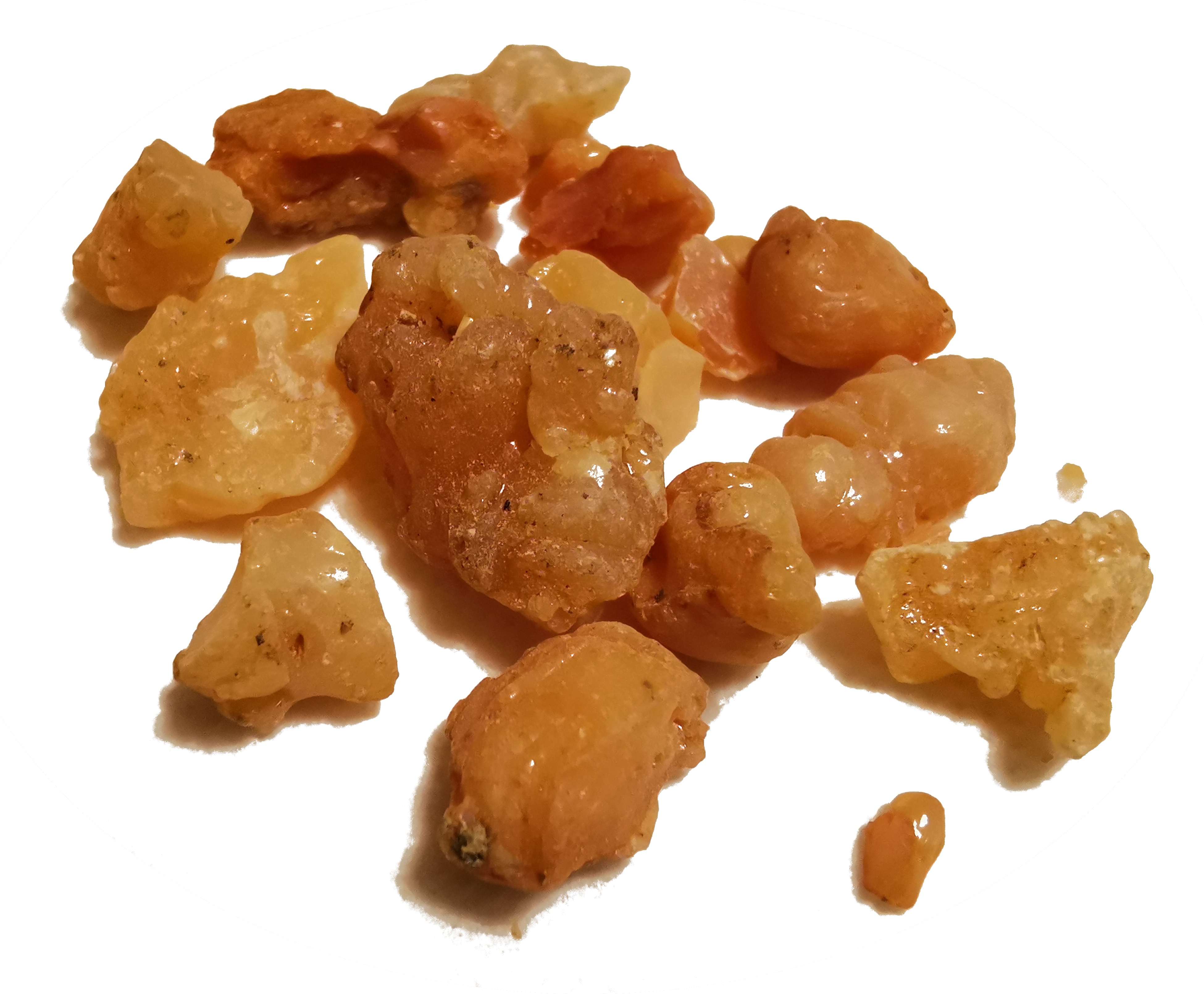 asafoetida resin asafoetida resin