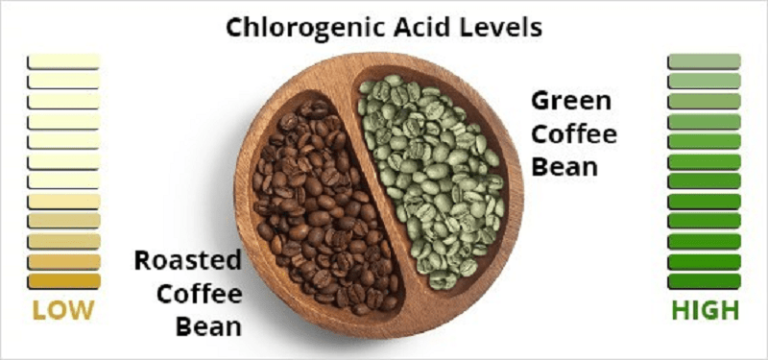 Chlorogenic acid