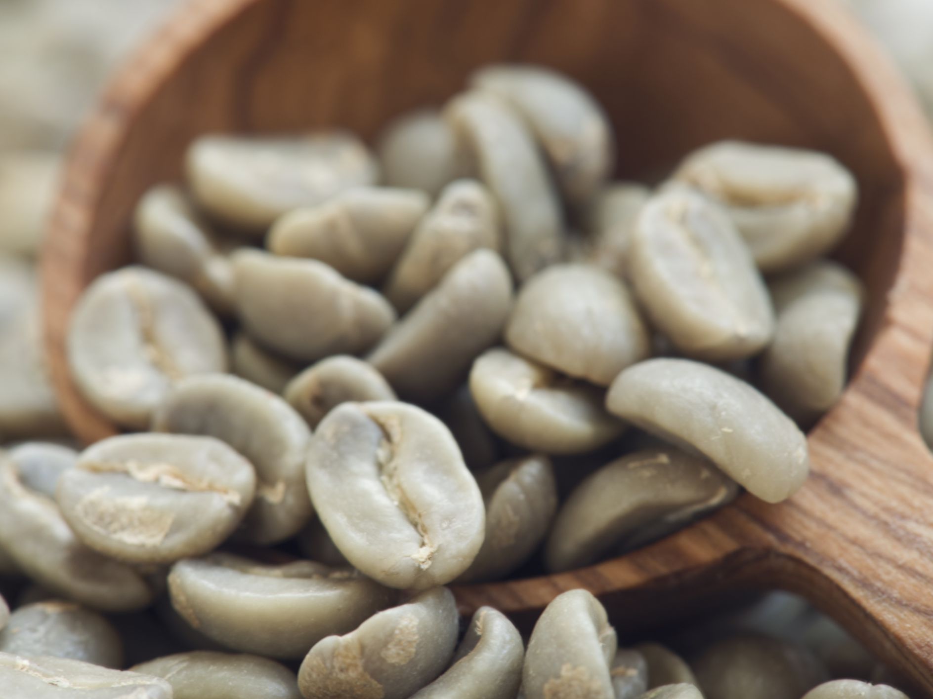 raw green coffee beans