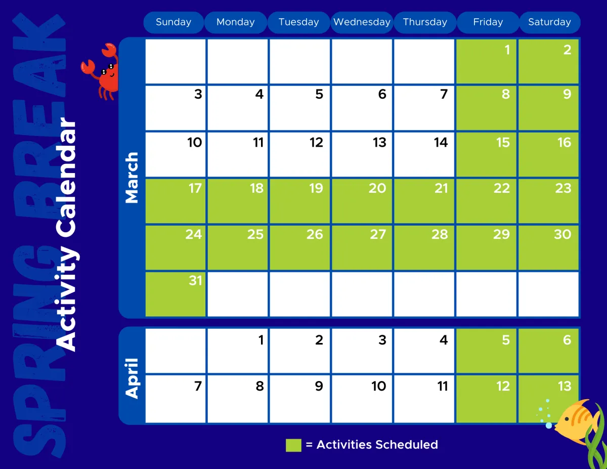 Calendar of activities