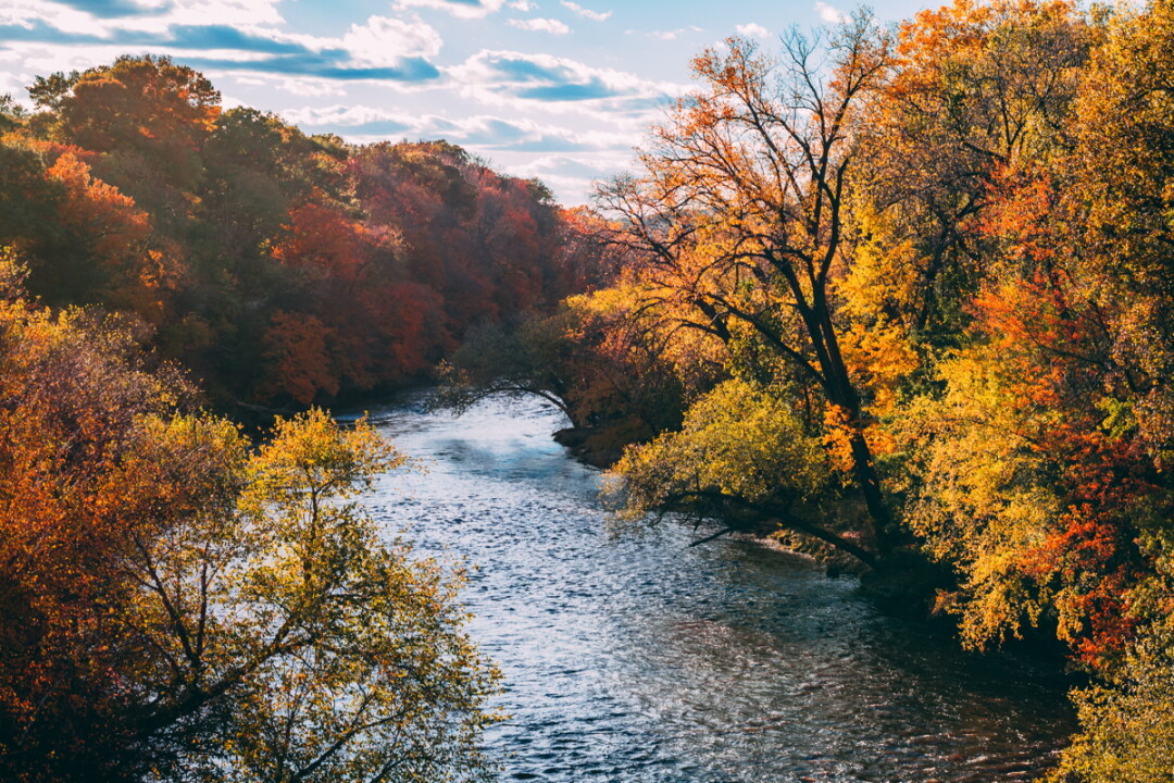Why Leaves Change Color In The Fall, Lowes Creek
