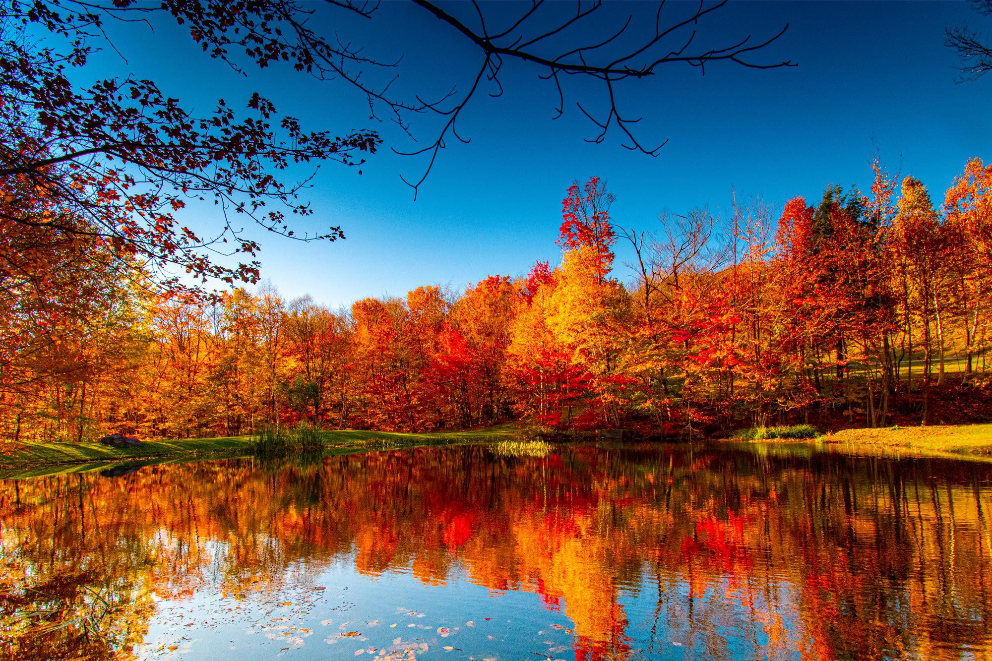 Why Leaves Change Color In The Fall, Leaf Peeping