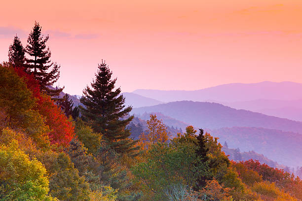 Why Leaves Change Color In The Fall, Shorter Days, Less Sunlight