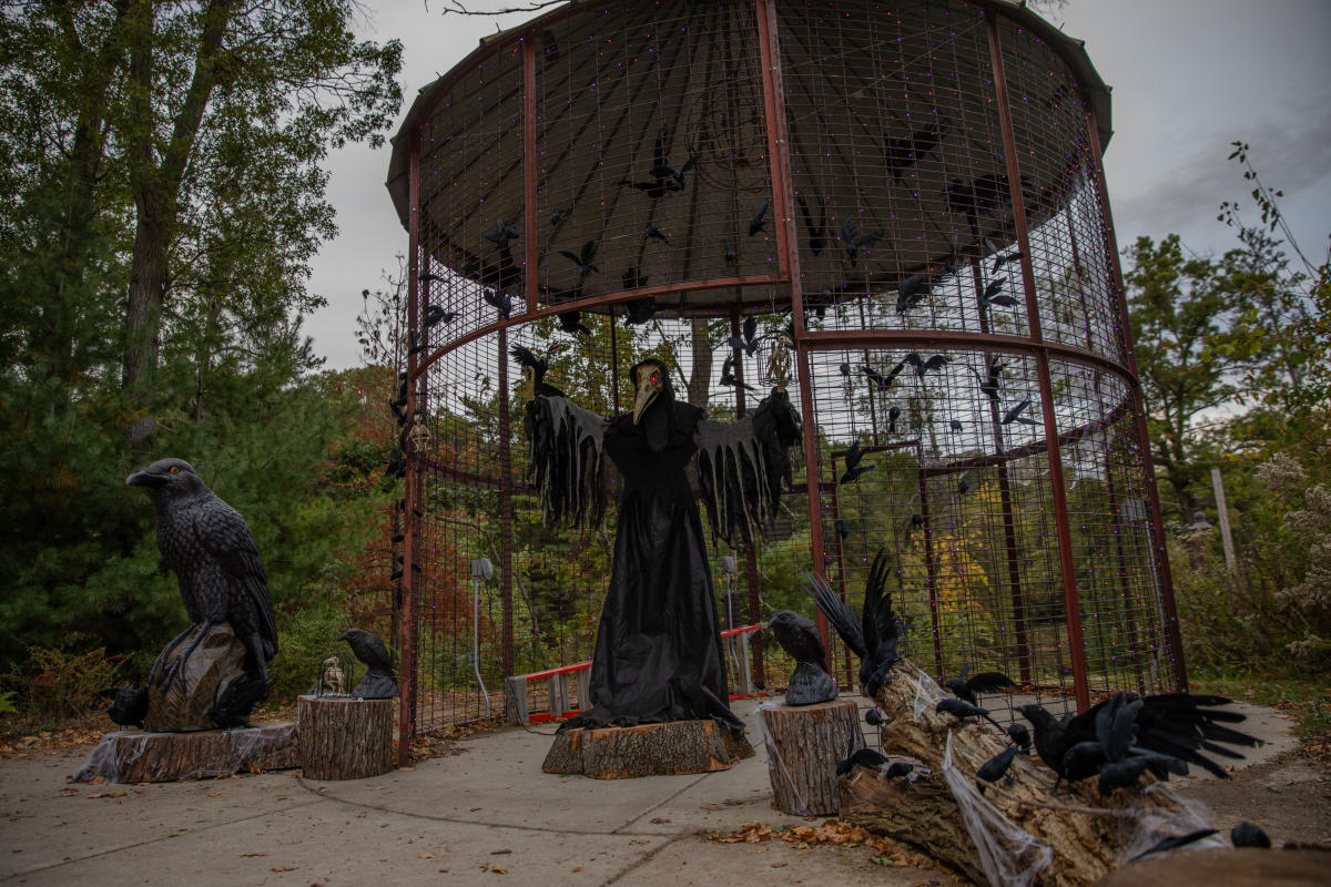 Scary Prairie at River Prairie Park, Eau Claire