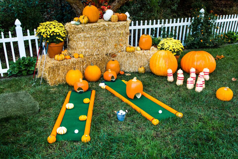 Fun Facts About Pumpkins For Kids, Pumpkin Fall Celebrations