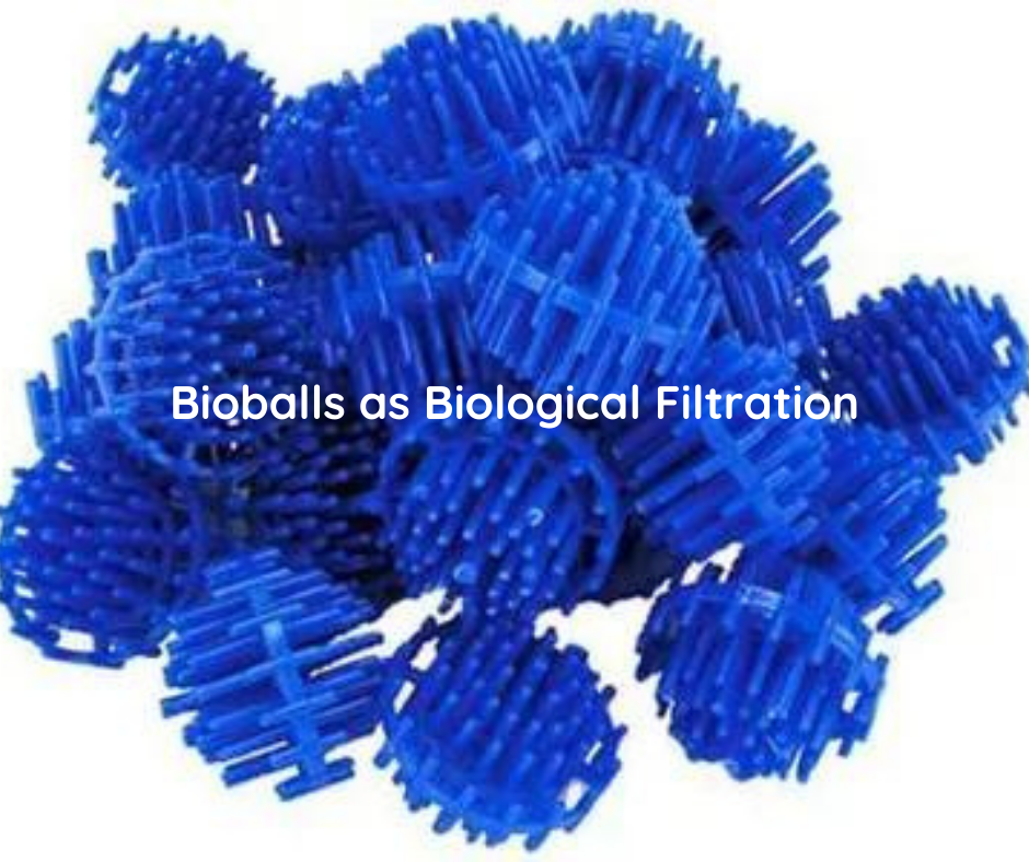 biological filtration for aquaponics biolballs