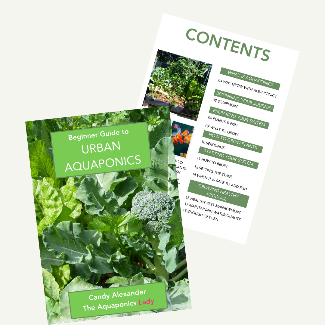 urban aquaponics free ebook urban aquaponics free ebook