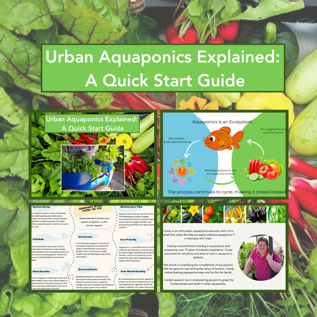 aquaponics guide