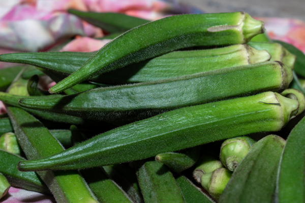 okra okra