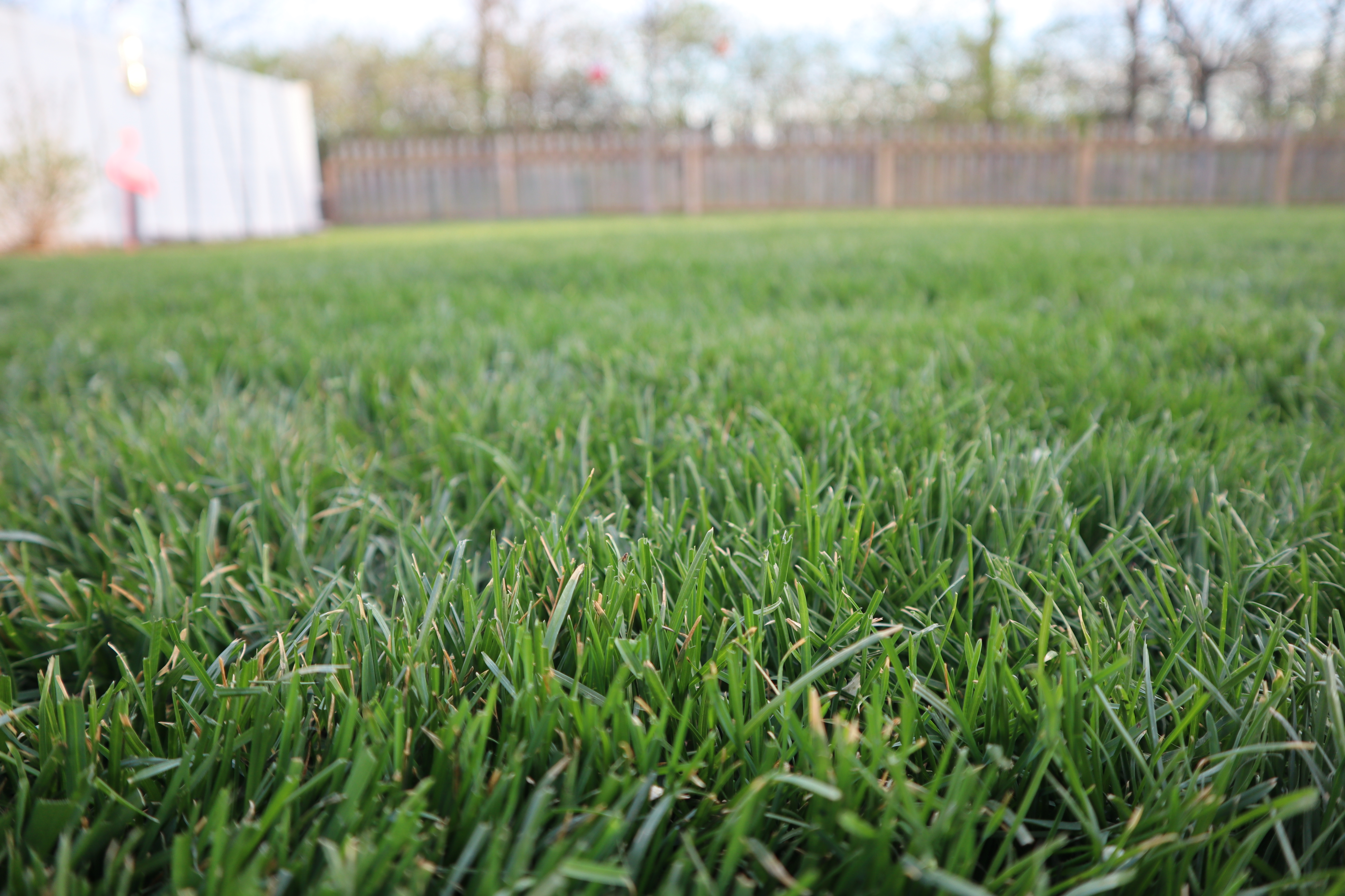Sustainable and Smart Lawn Care Solutions Sustainable and Smart Lawn Care Solutions