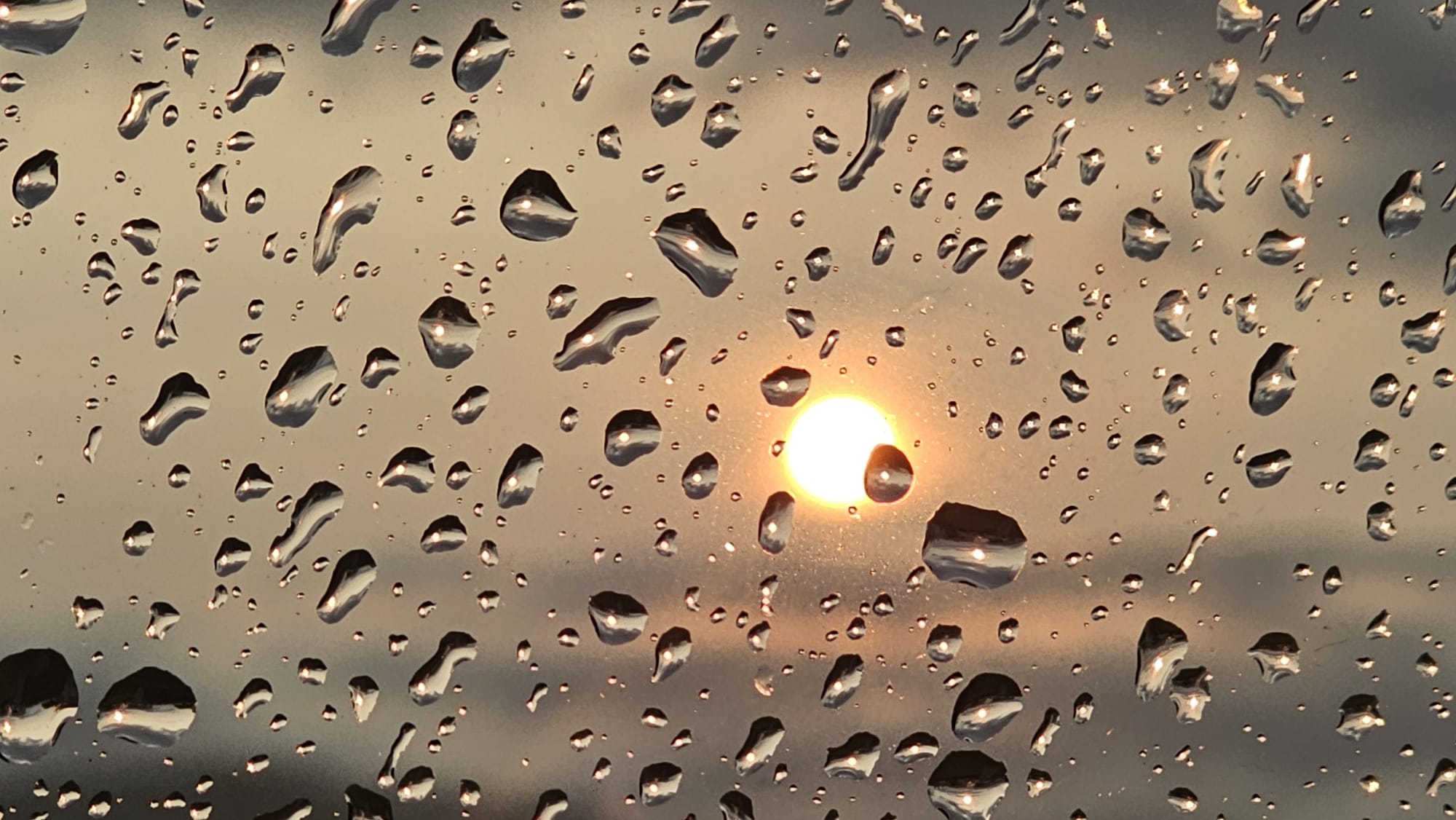 rain reflection rain reflection
