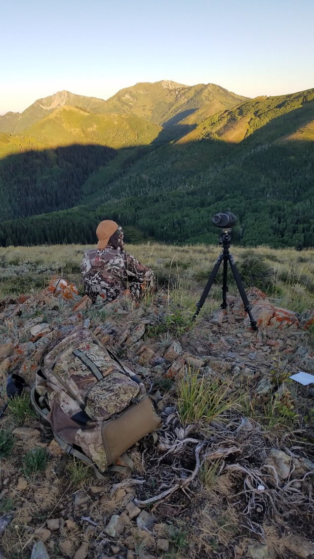 Mule deer terrain Mule deer terrain
