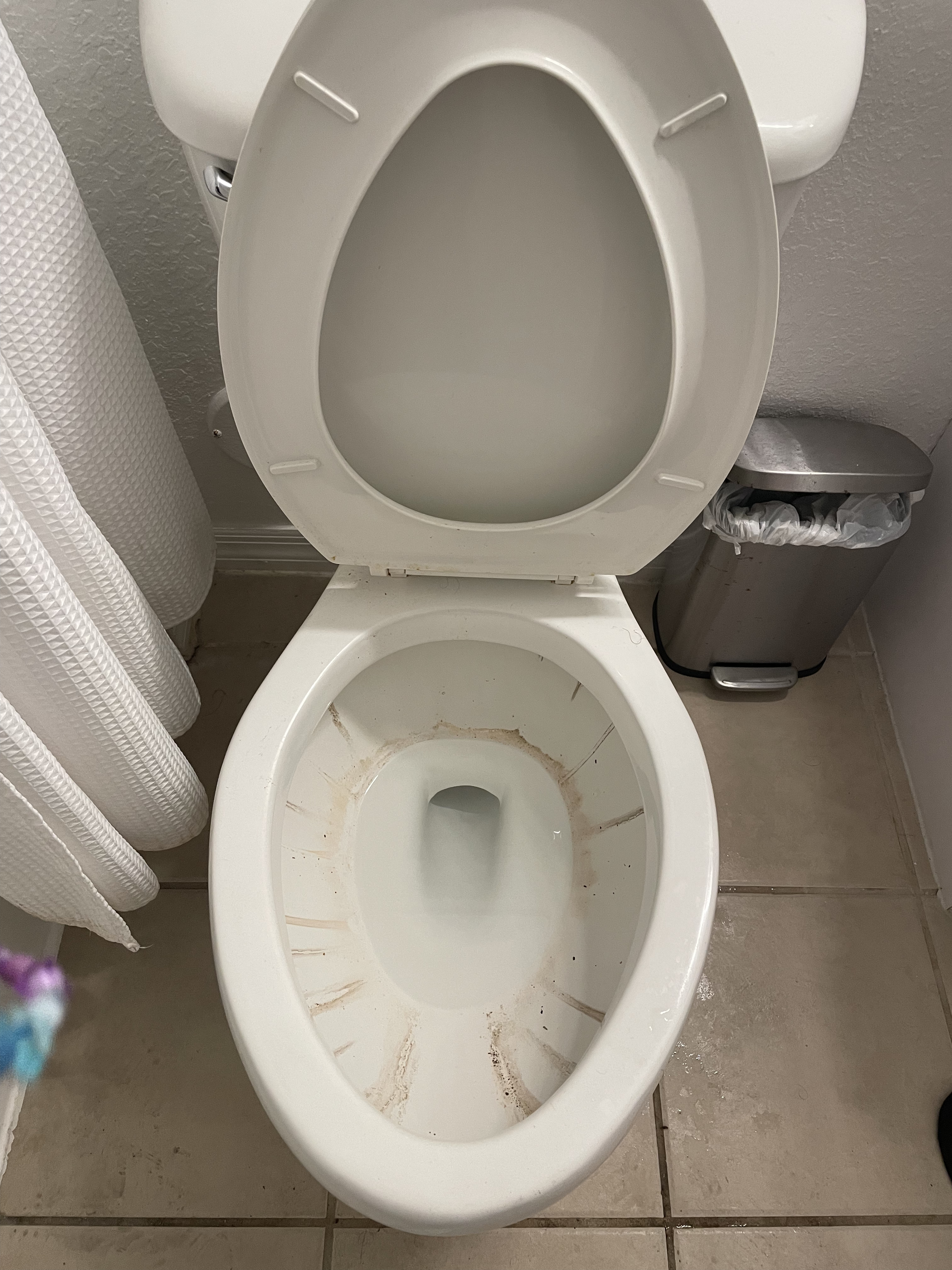 Toilet — before