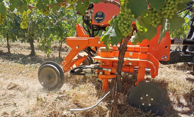specialty crop farming