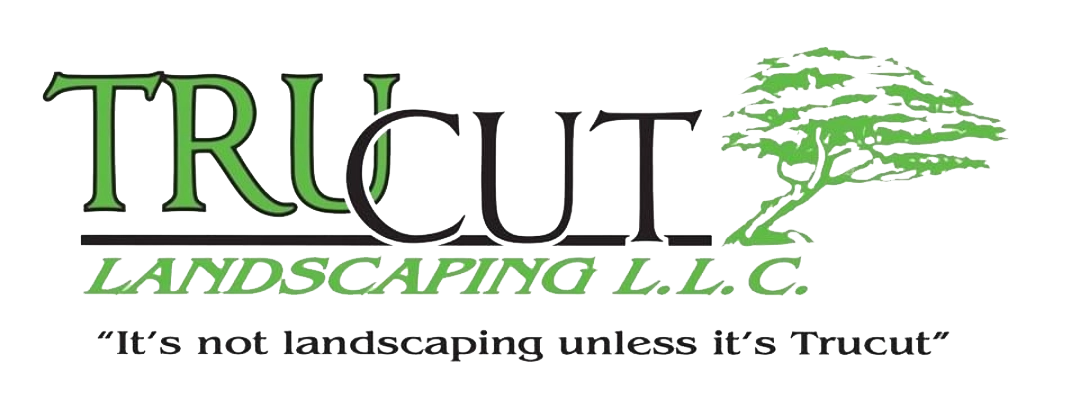NPI Logo