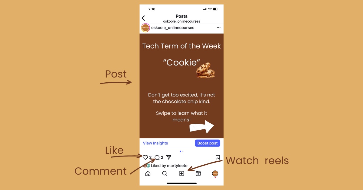 screenshot of an instagram post with descriptions screenshot of an instagram post with descriptions