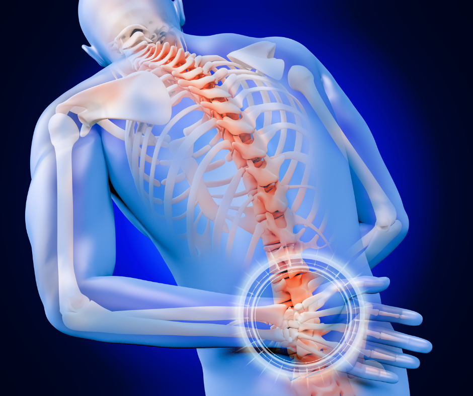 Lower Back Pain Lower Back Pain