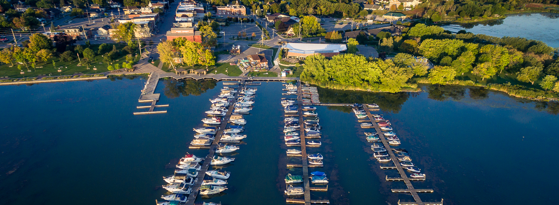 Scugog