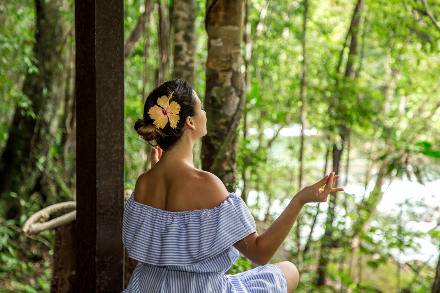 Ayahuasca Retreat Ayahuasca Retreat