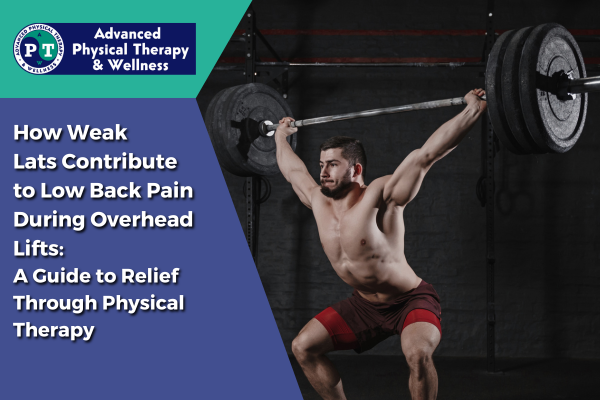 Guide, Physical Therapy Guide to Low Back Pain