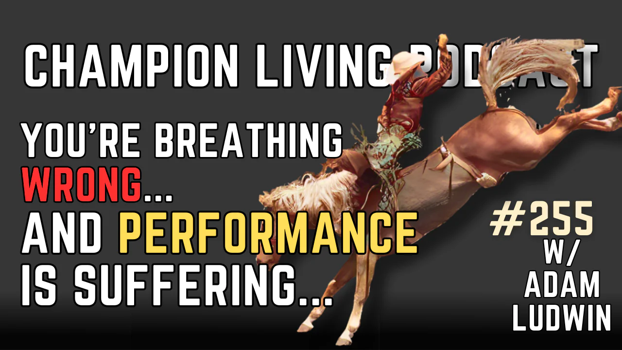 champion living fitness champion living fitness