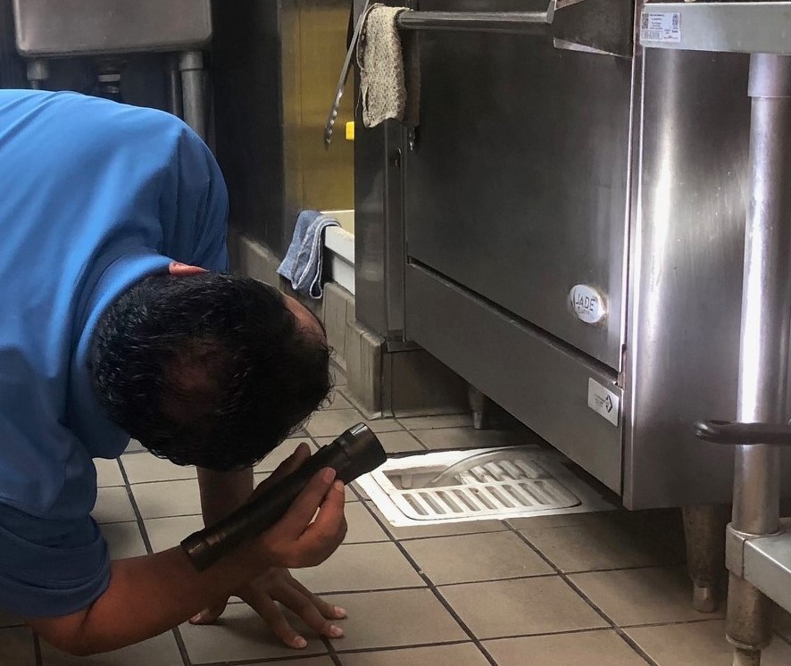 Network Pest Control in Northwest Arkansas - Your Trusted Partner for Professional Pest Control Services. Say Goodbye to Pests Today!