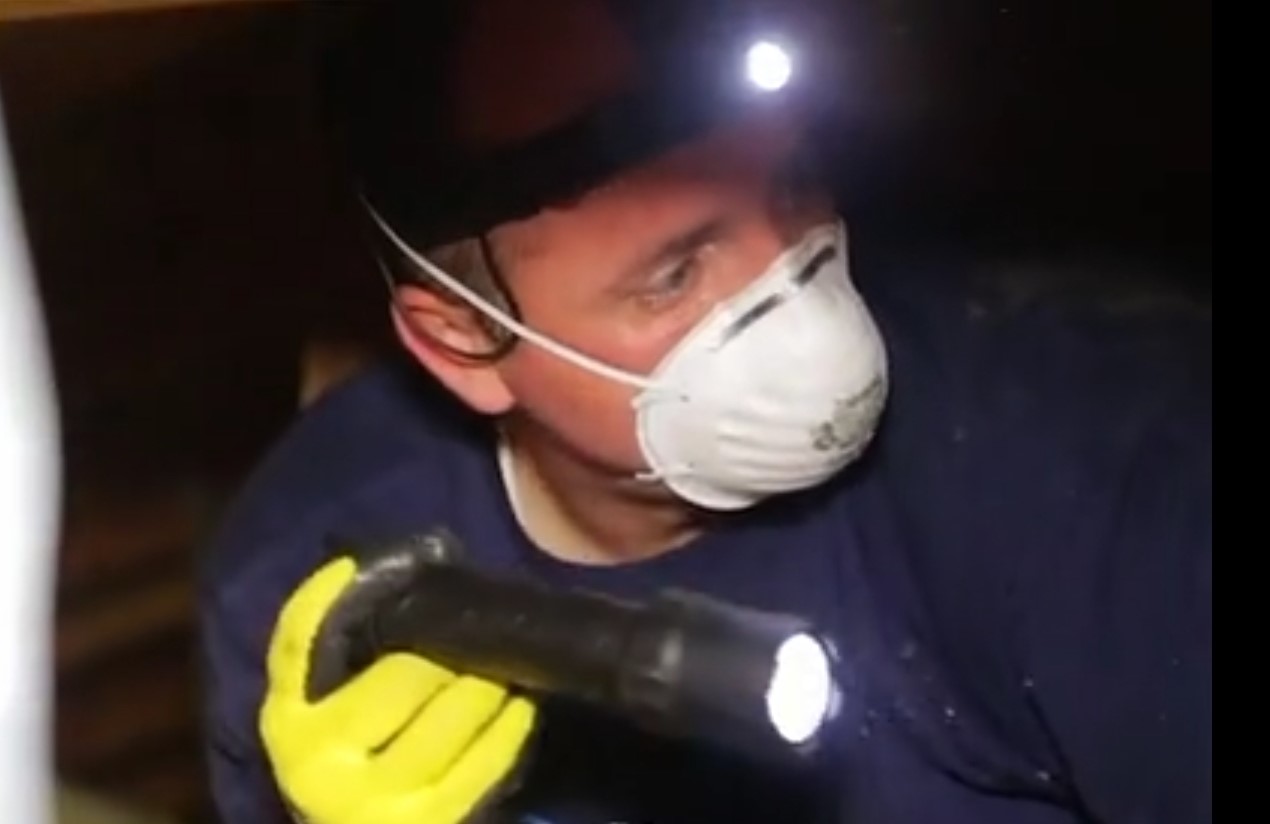 professional pest control technician following the stops from how to get rid of rats in house fast