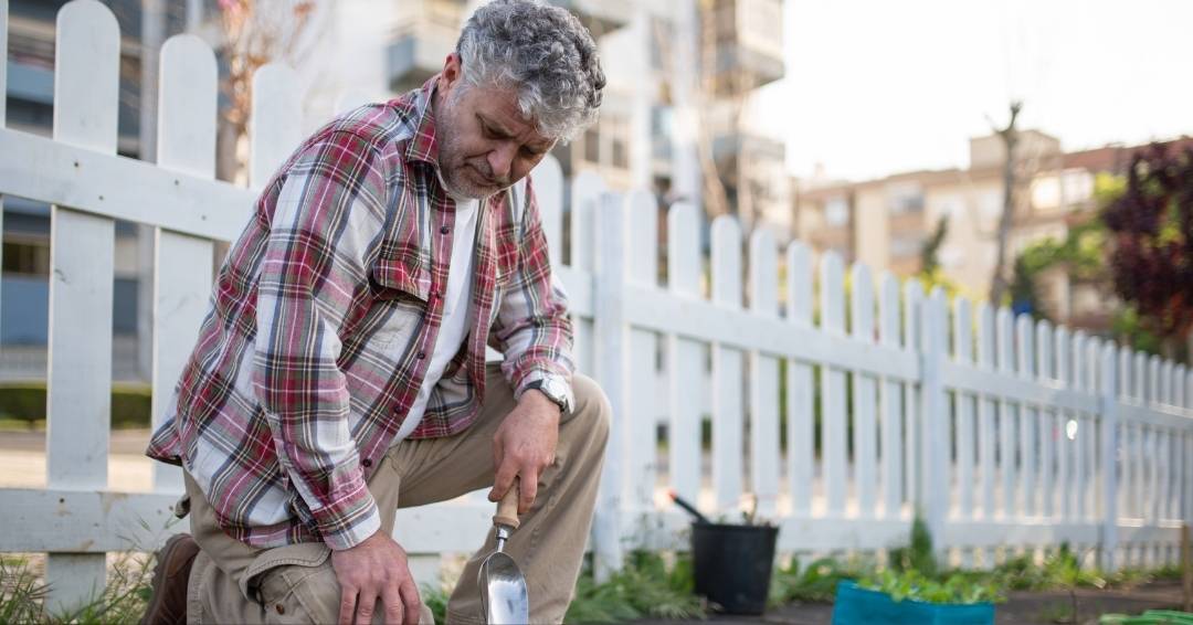 "Harmonious Home Gardening: Discover Tips for Natural Spider Pest Control in Your Garden. Learn How to Cultivate a Thriving Garden While Coexisting with Spiders for Effective Pest Management."