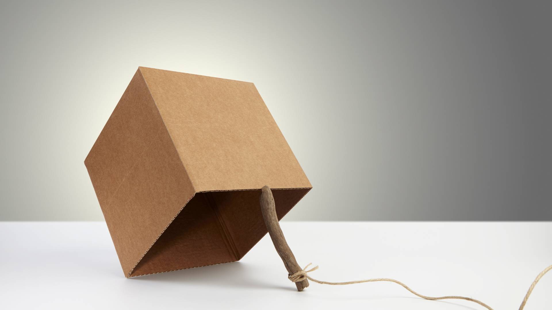 how to get rid of rats in house fast with DYI trap