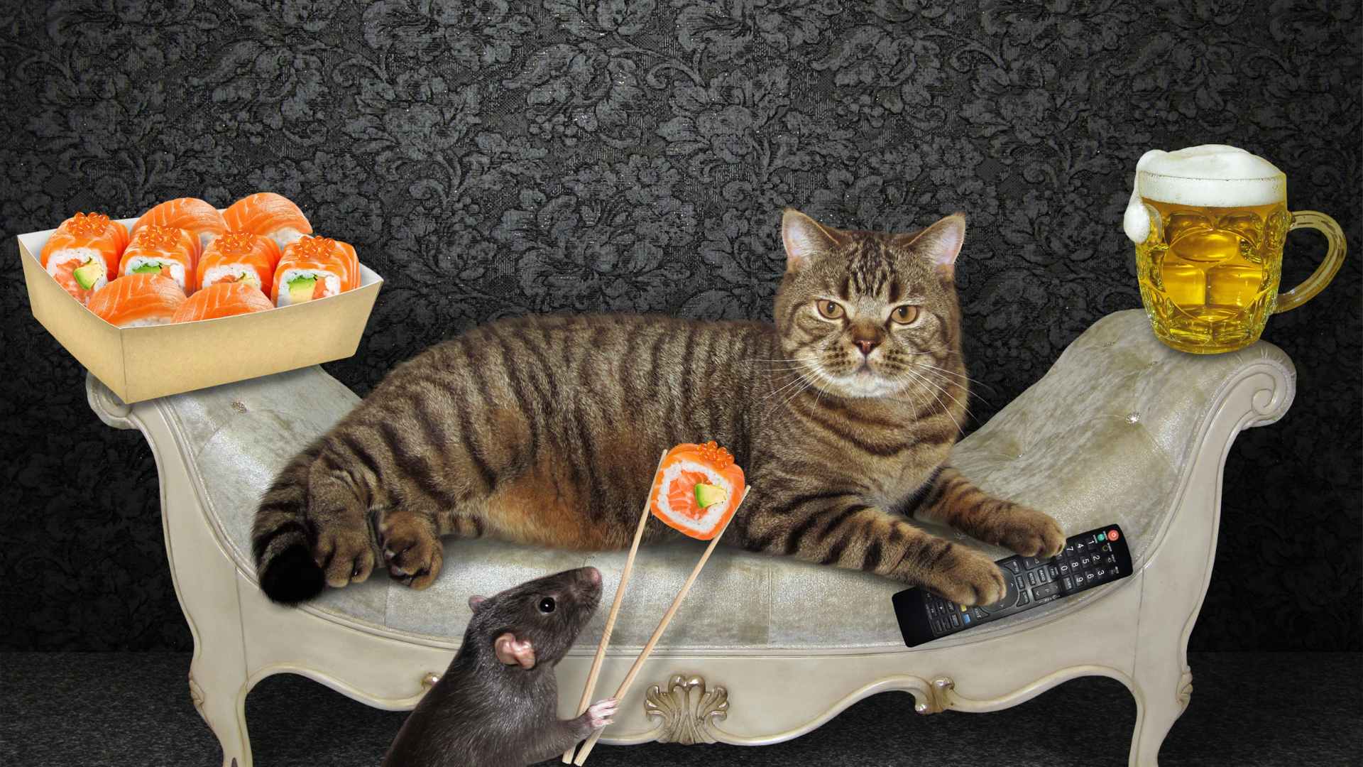 cat as a natural deterrent for rats on how to keep rats away 