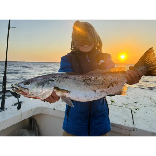 1/2 Day Evening Charter