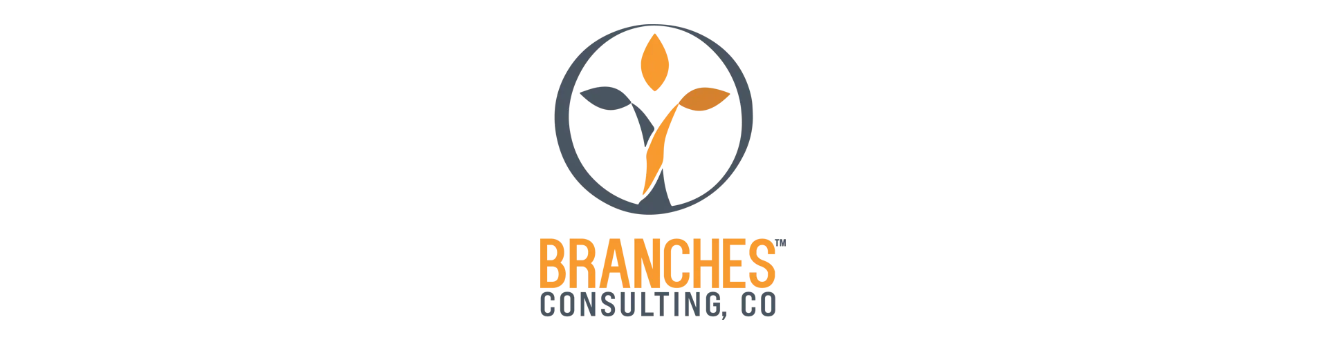 Branches Consulting