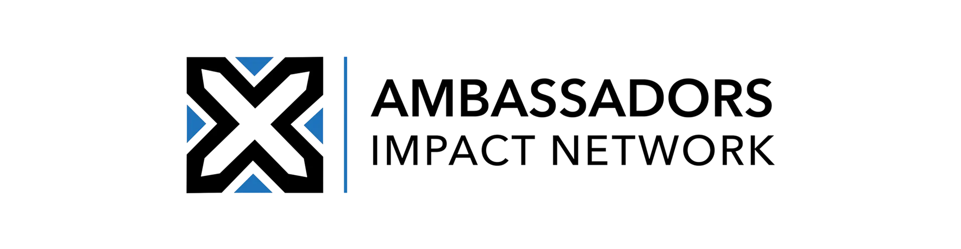 Ambassadors Impact Network