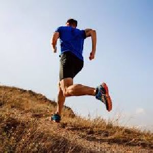 Tendências e Oportunidades de Negócios