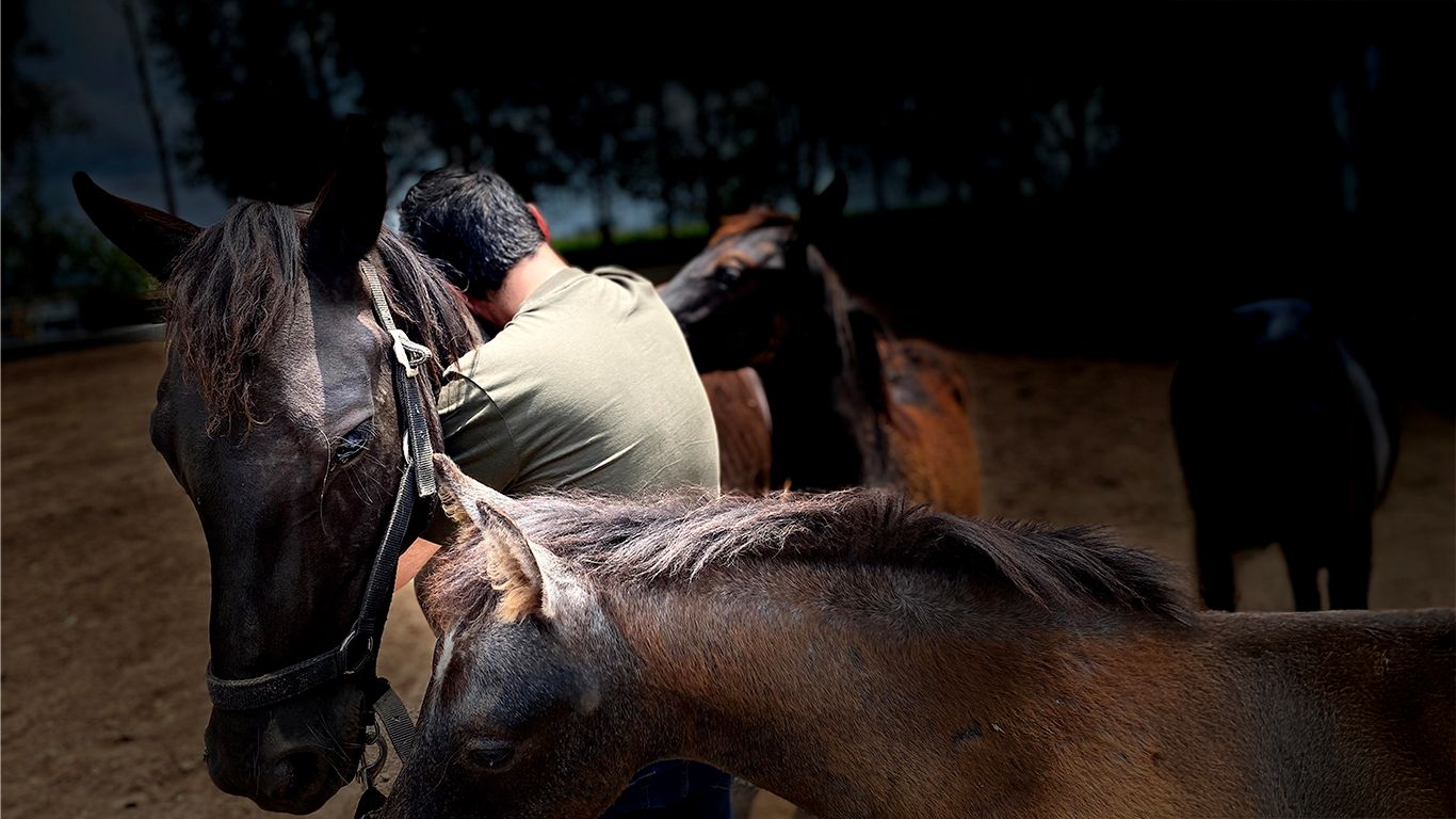 vcaballos2 vcaballos2