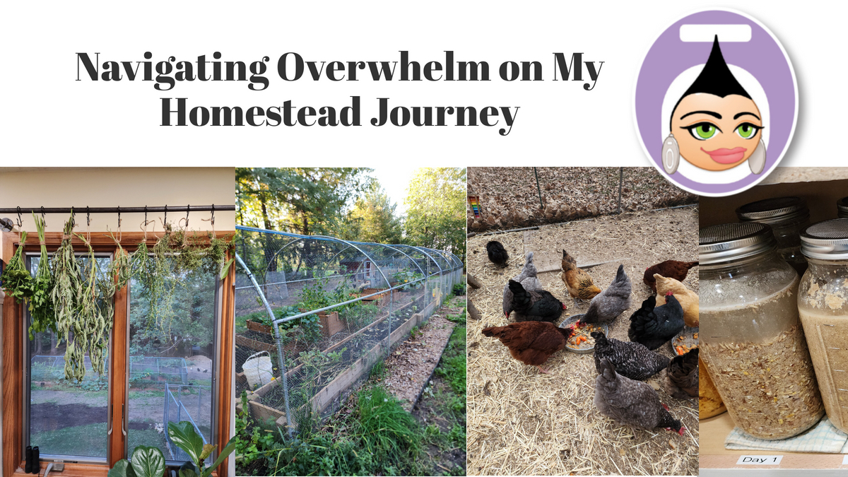 Navigating Overwhelm on My Homestead Journey