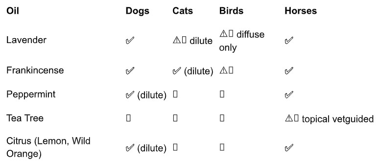 Pet Safety 