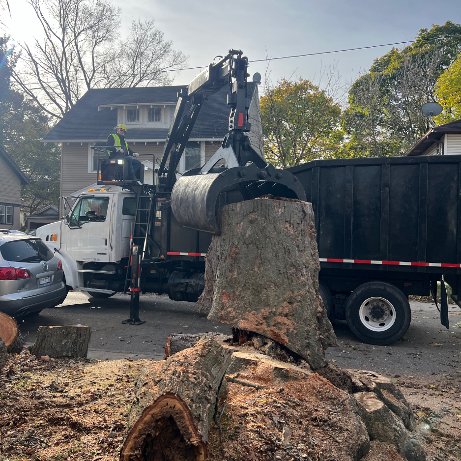 Spring Safety Checklist: Is It Time to Call? Spring Safety Checklist: Is It Time to Call?